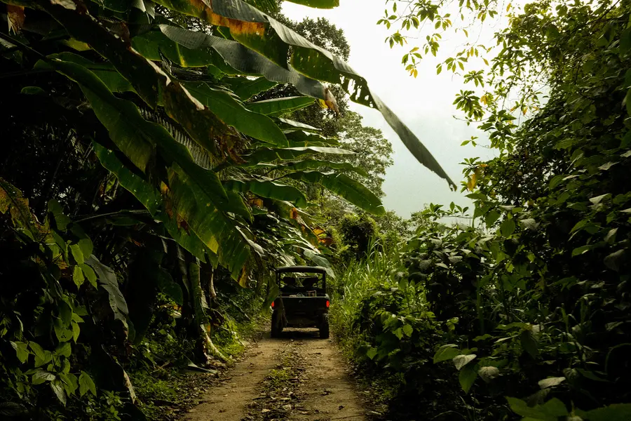 Madinina — photograph 1 of 24. [Description to be refined]