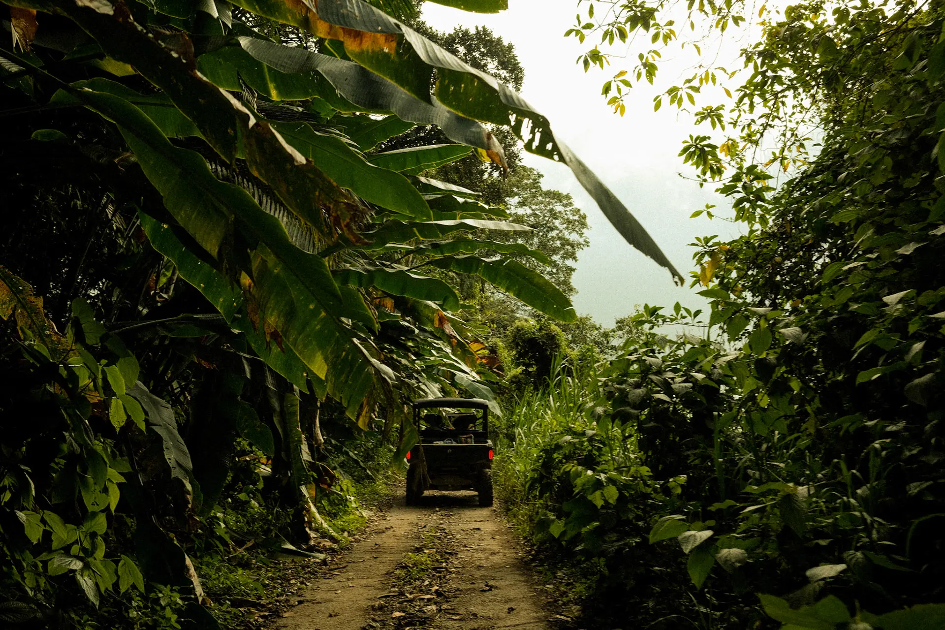 Madinina — photograph 1 of 24. [Description to be refined]