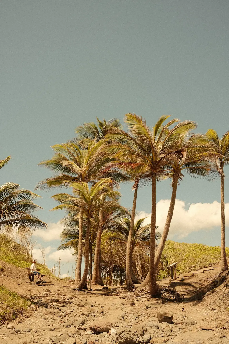 Madinina — photograph 7 of 24. [Description to be refined]