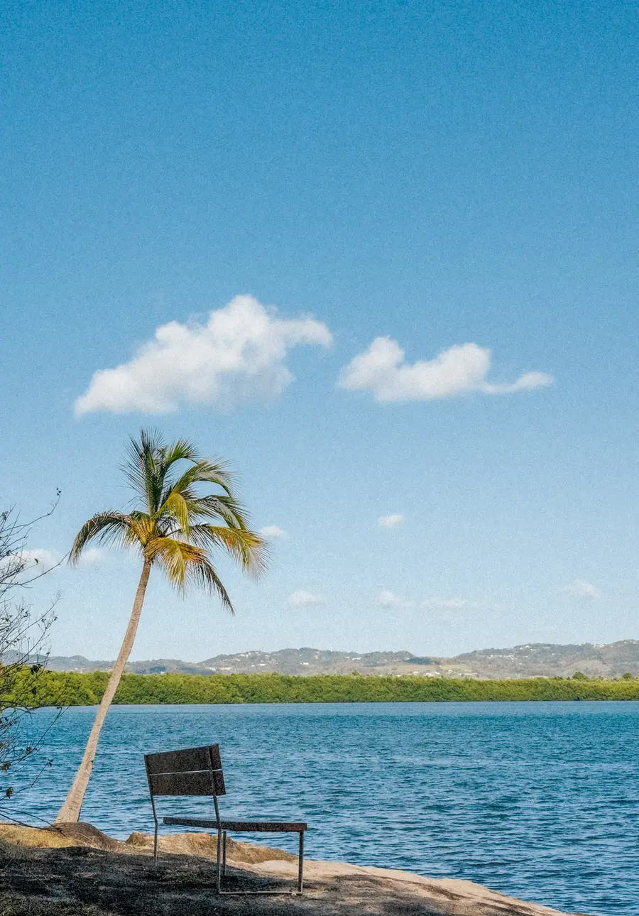 Madinina — photograph 19 of 24. [Description to be refined]